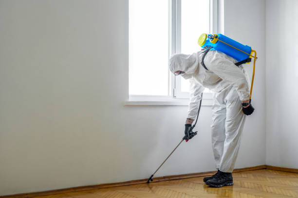 Best Real Estate Pest Inspections  in Villas, NJ